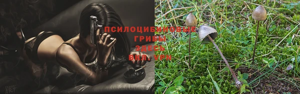 МДПВ Белокуриха